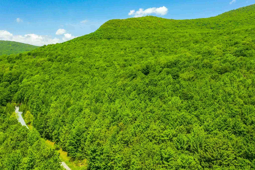 100 Twin Willow Lane Dorset VT 05251