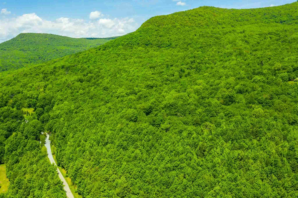 100 Twin Willow Lane Dorset VT 05251