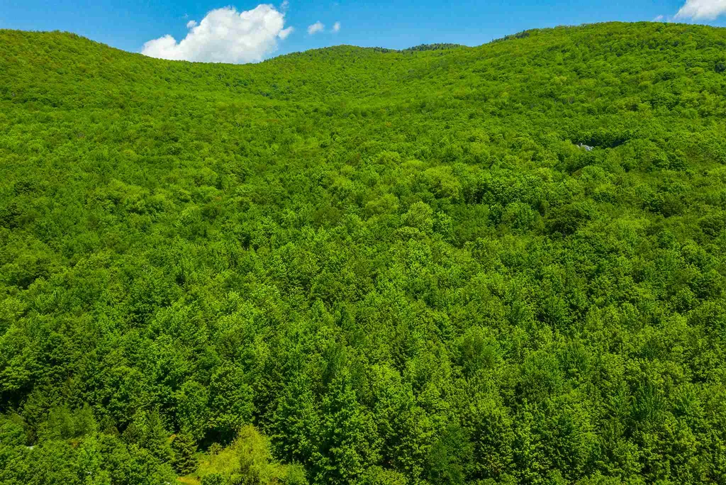 100 Twin Willow Lane Dorset VT 05251