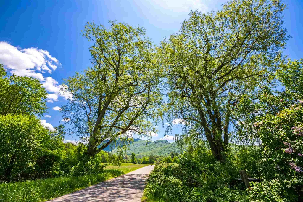 100 Twin Willow Lane Dorset VT 05251