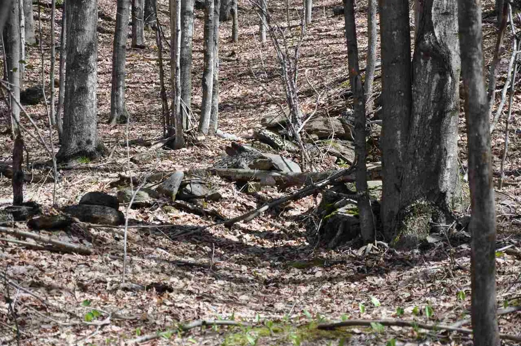 100 Twin Willow Lane Dorset VT 05251