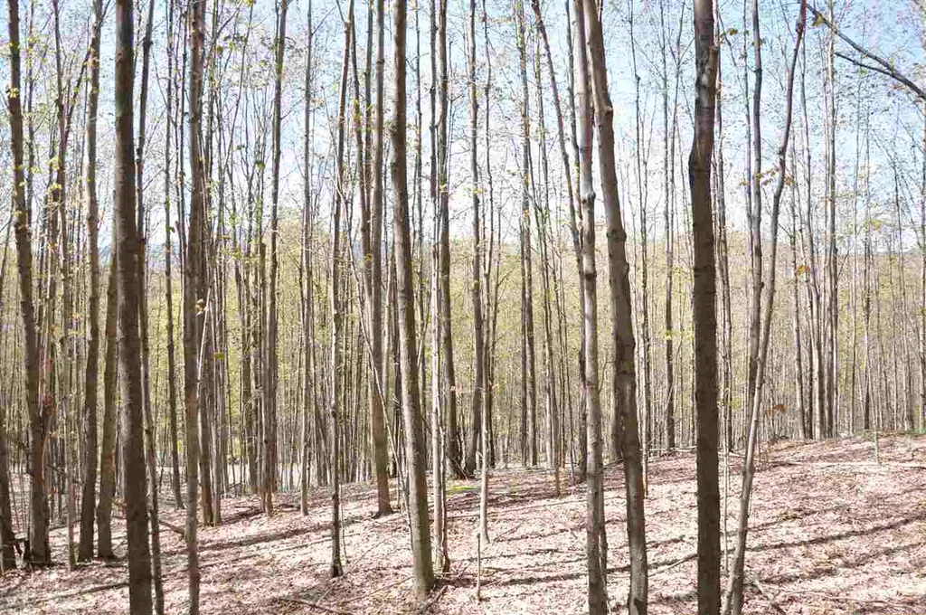 100 Twin Willow Lane Dorset VT 05251