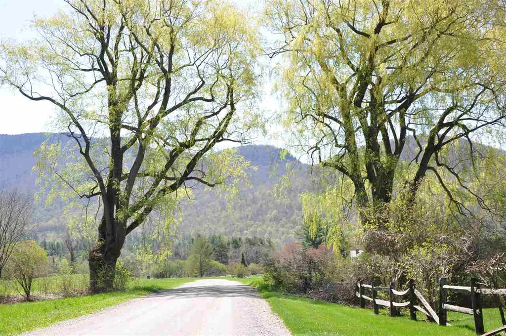 100 Twin Willow Lane Dorset VT 05251