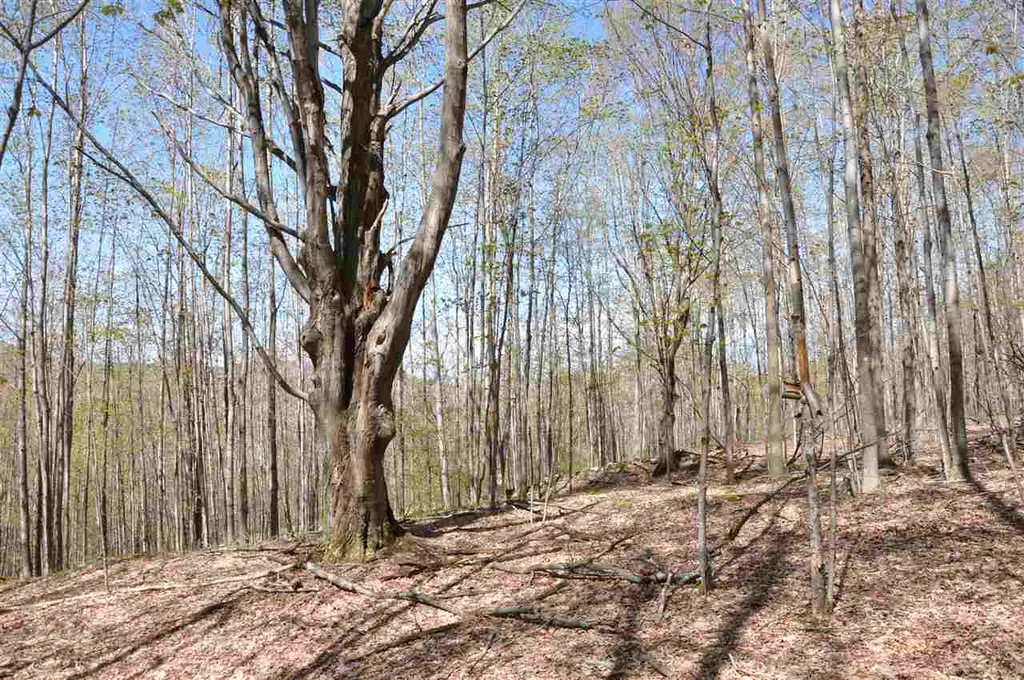 100 Twin Willow Lane Dorset VT 05251