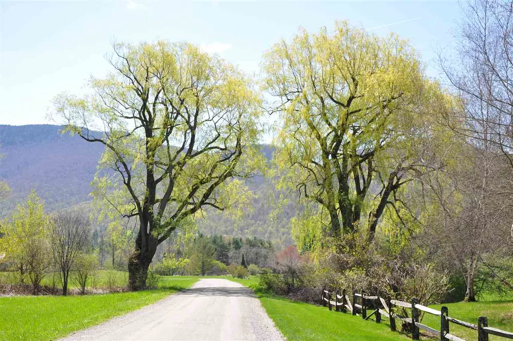 100 Twin Willow Lane Dorset VT 05251