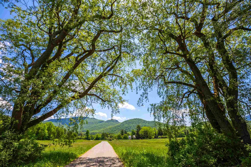 100 Twin Willow Lane Dorset VT 05251