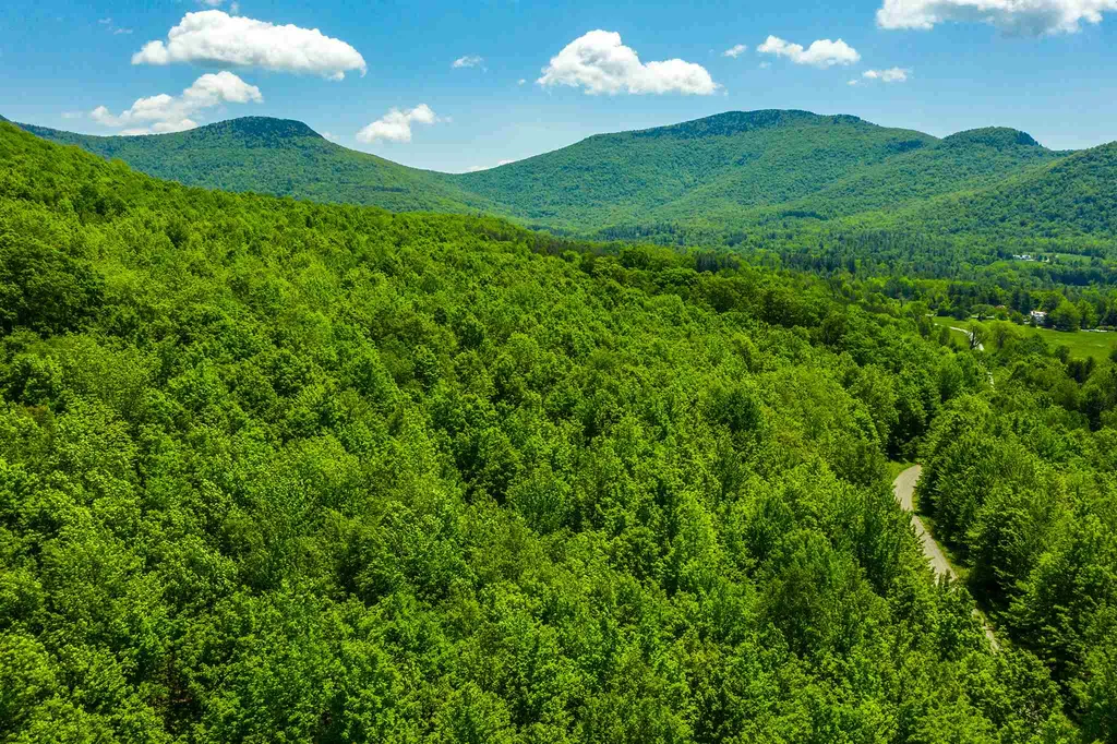 100 Twin Willow Lane Dorset VT 05251