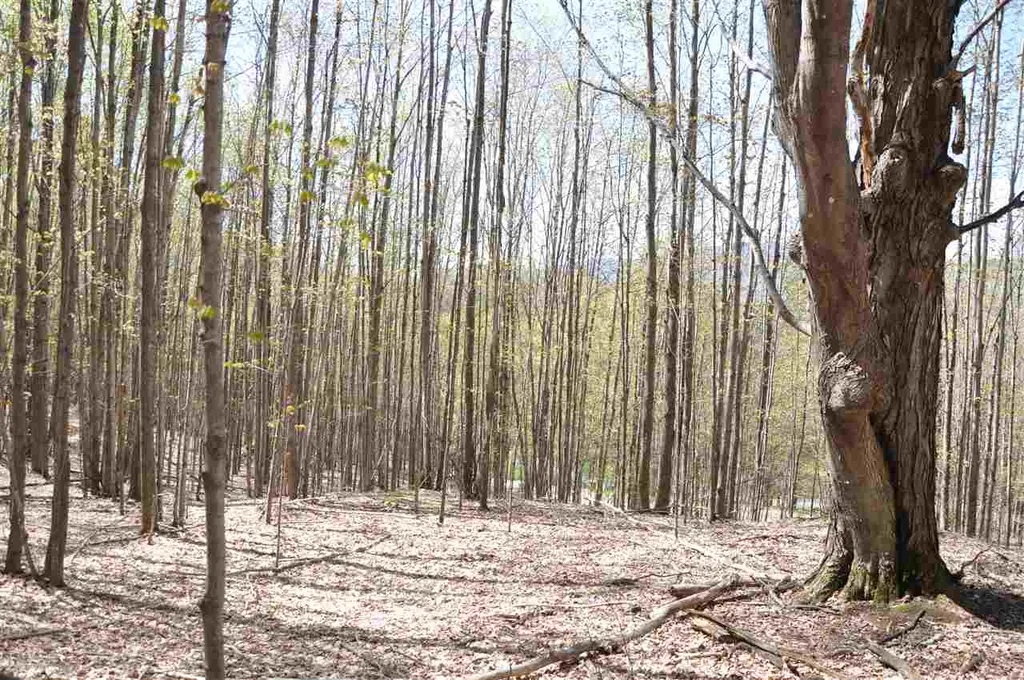 100 Twin Willow Lane Dorset VT 05251