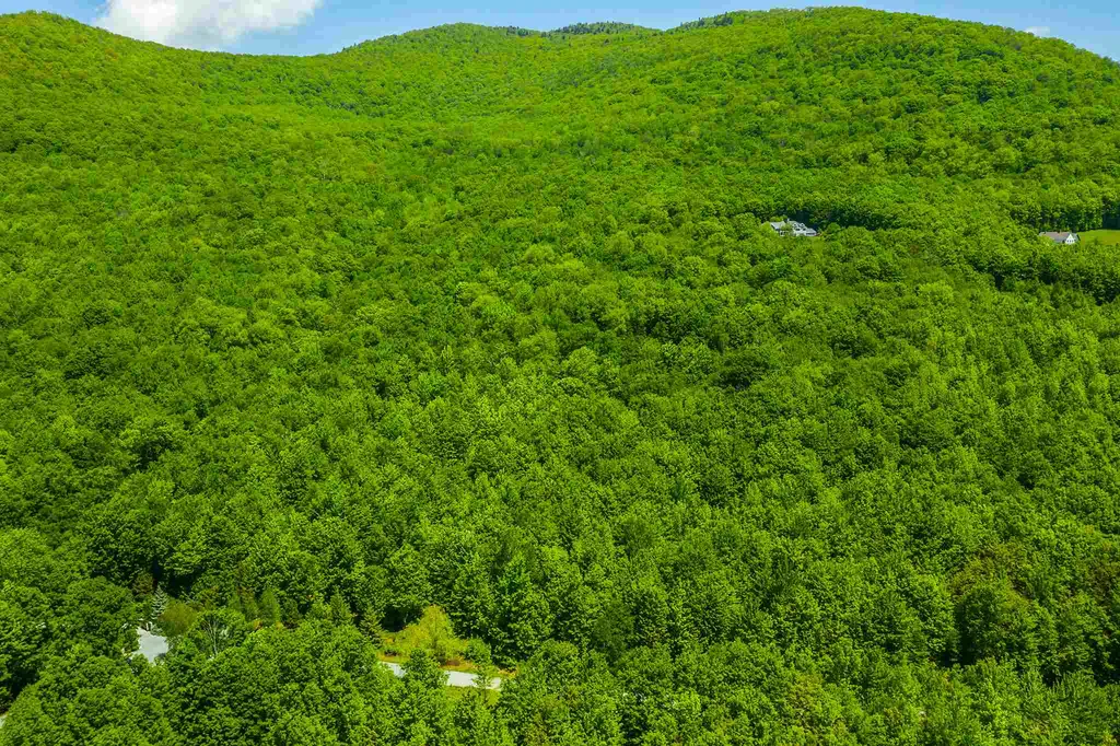 100 Twin Willow Lane Dorset VT 05251