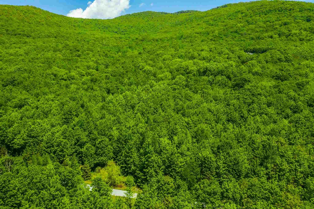 100 Twin Willow Lane Dorset VT 05251