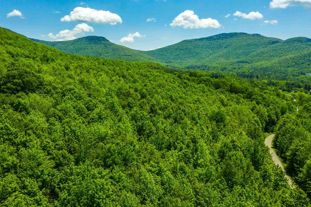 100 Twin Willow Lane Dorset VT 05251