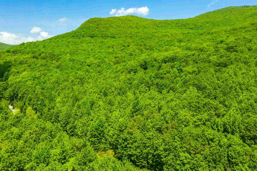 100 Twin Willow Lane Dorset VT 05251