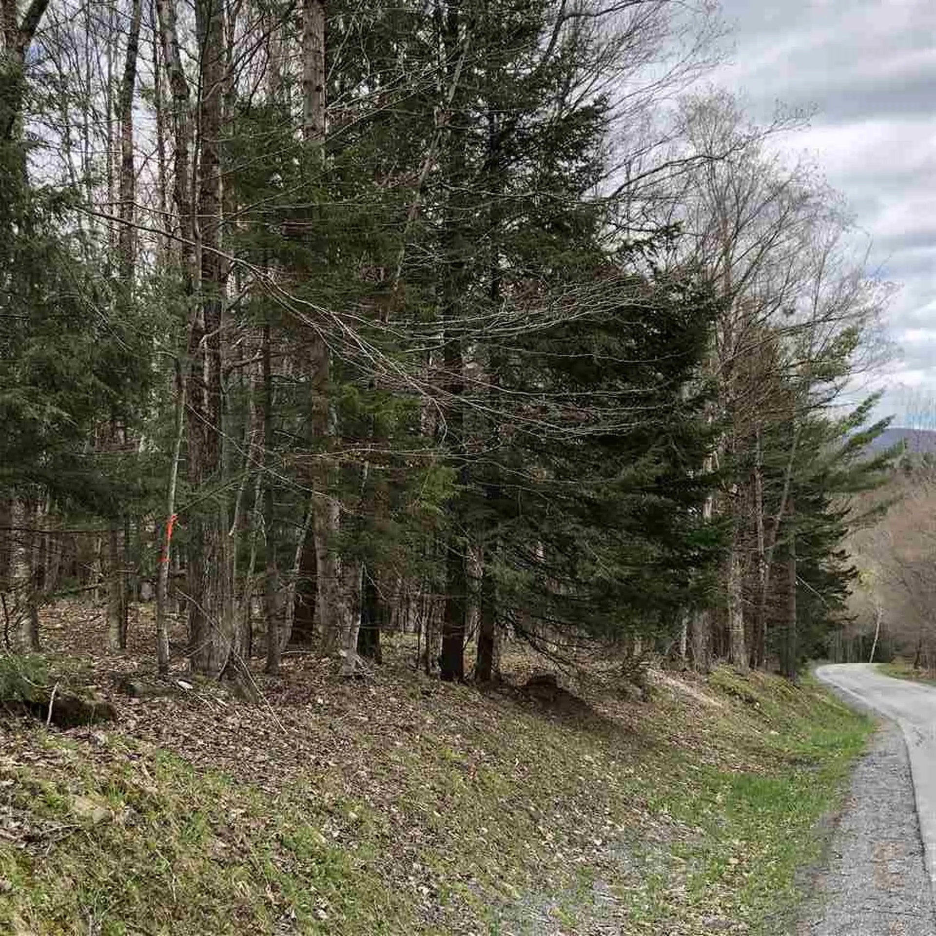 Lot#5 Branch Hill Road Readsboro VT 05350