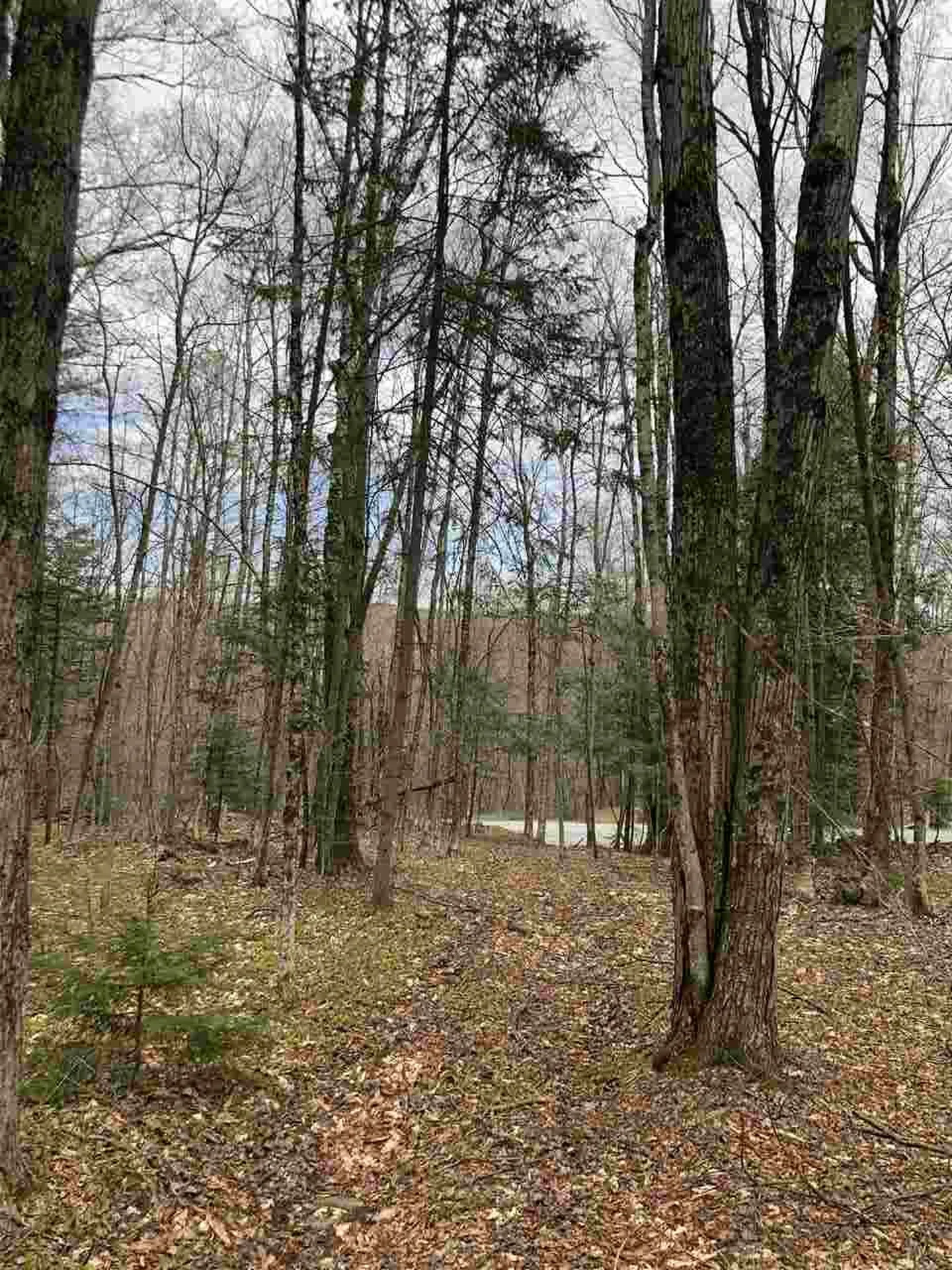 Lot#5 Branch Hill Road Readsboro VT 05350