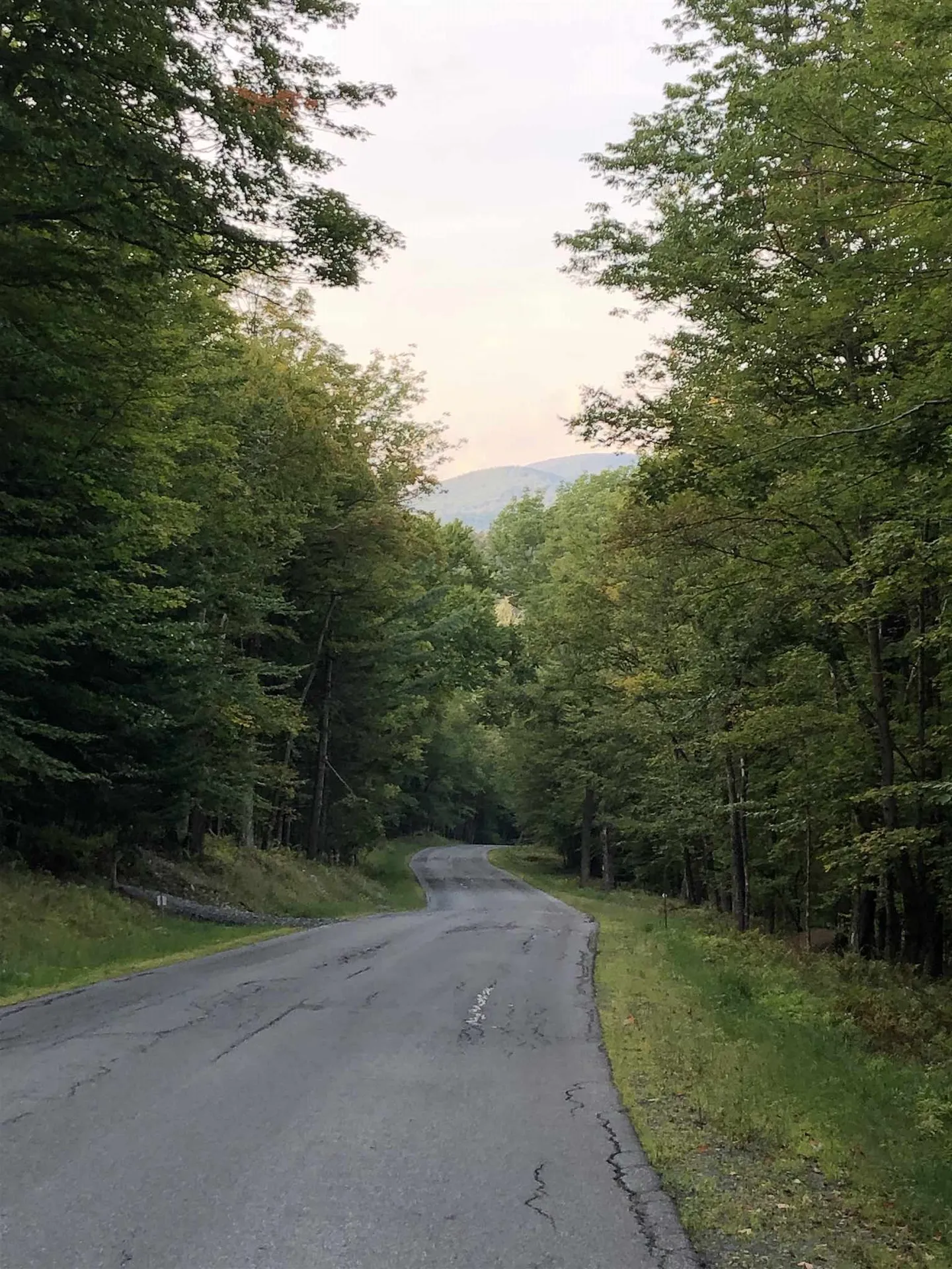 Lot#5 Branch Hill Road Readsboro VT 05350