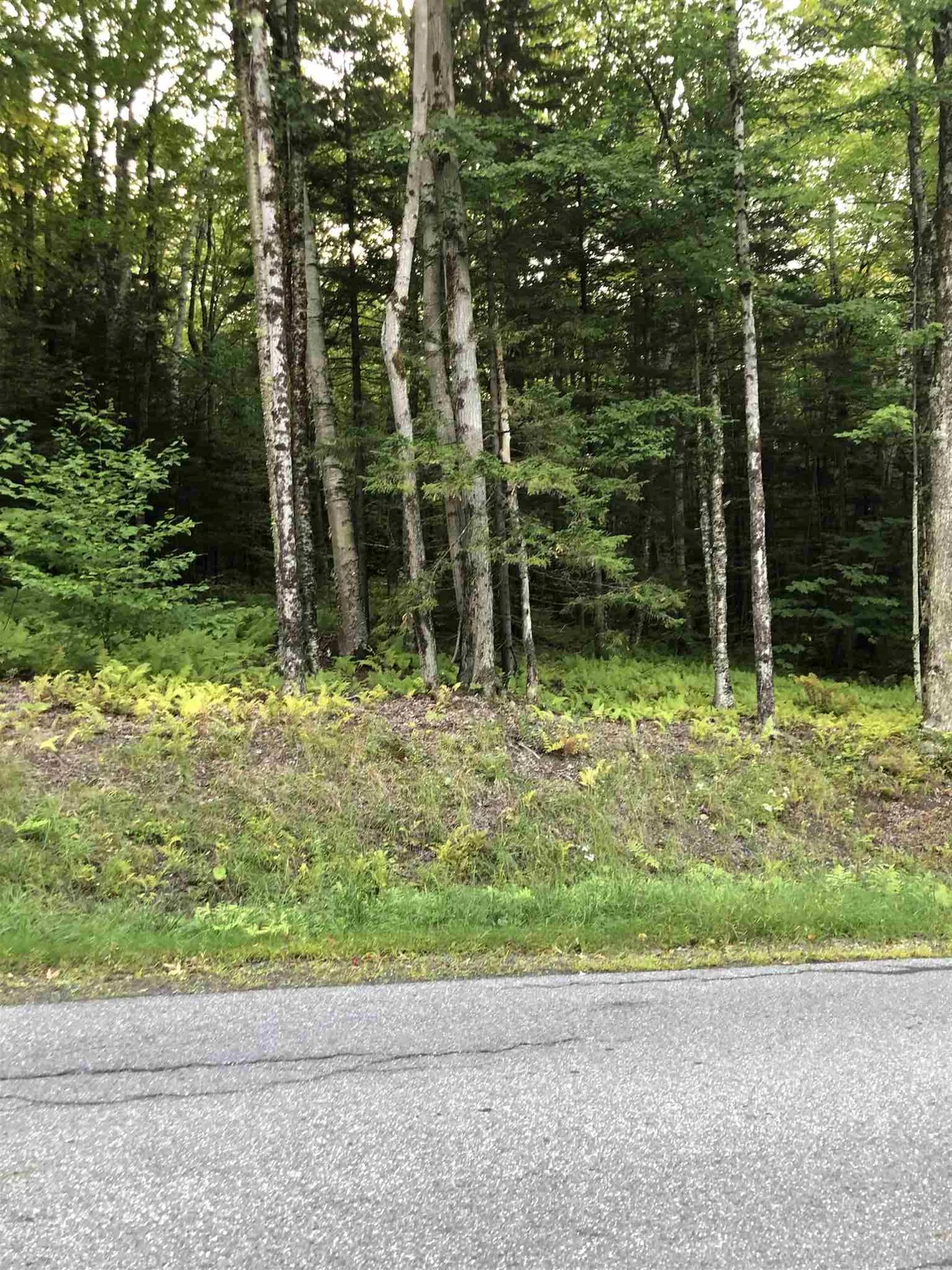 Lot#5 Branch Hill Road Readsboro VT 05350