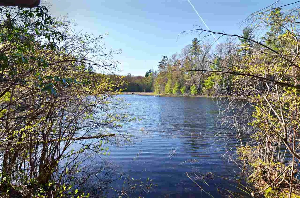 24 Dunlap Drive Bedford NH 03110