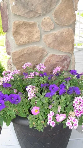23 Morning Glory Drive Franklin NH 03235