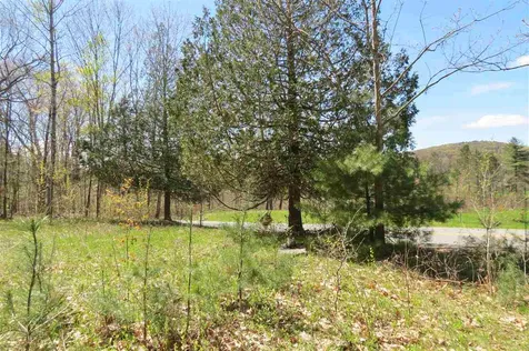 0 Tarbell Hill Road Cavendish VT 05142