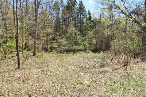 0 Tarbell Hill Road Cavendish VT 05142