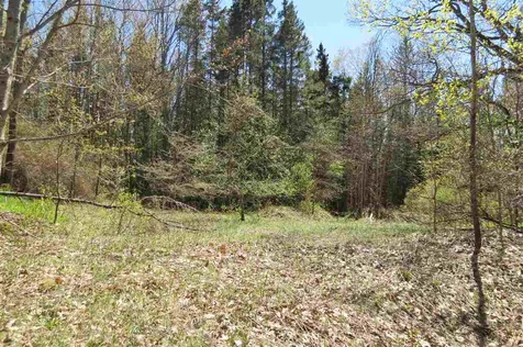 0 Tarbell Hill Road Cavendish VT 05142