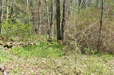 0 Tarbell Hill Road Cavendish VT 05142