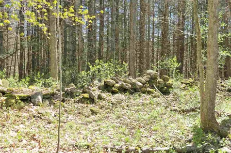 0 Tarbell Hill Road Cavendish VT 05142
