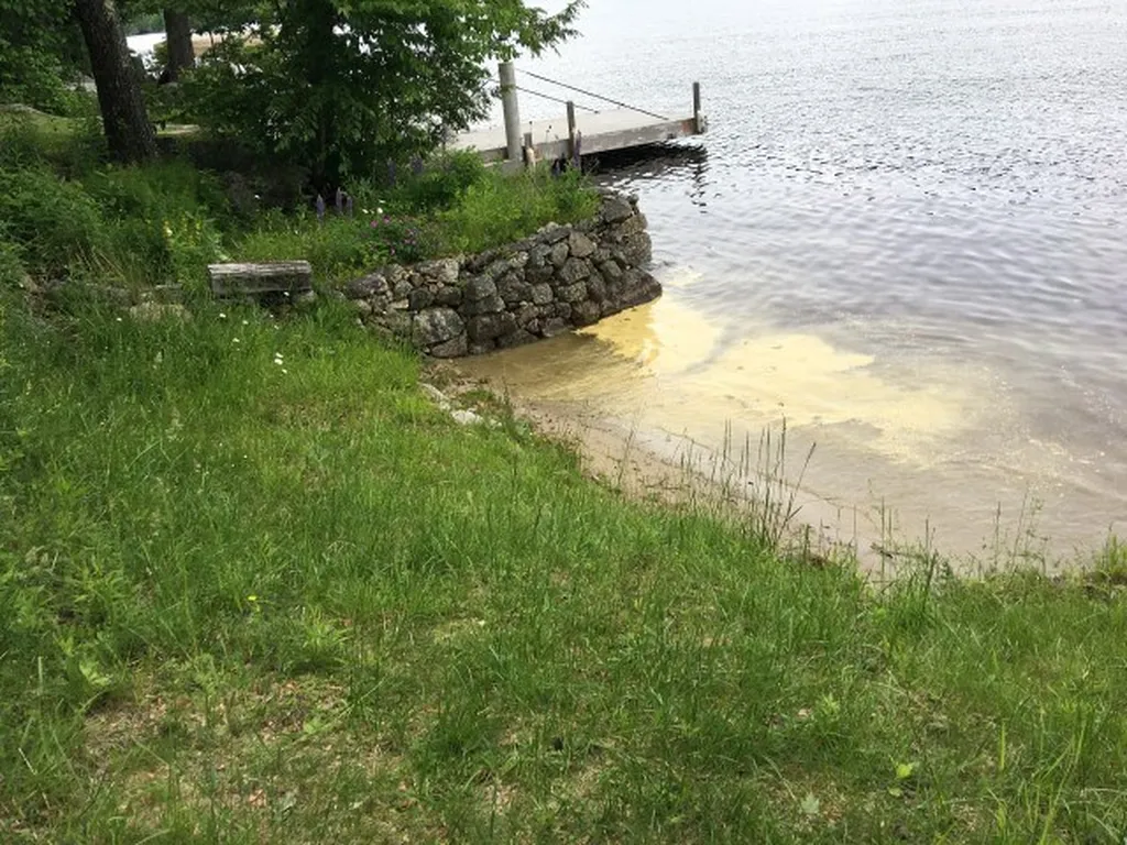 2181 Valley Road Washington NH 03280
