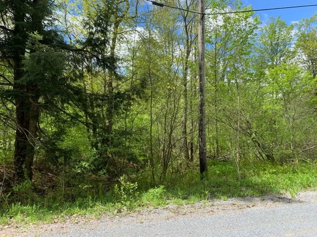 20 Andrea Drive Stamford VT 05352