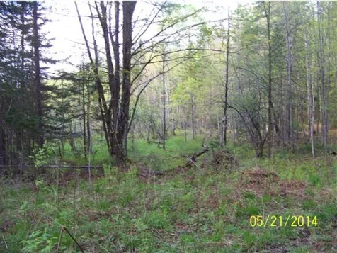 1336 Town Line Road Rochester VT 05767