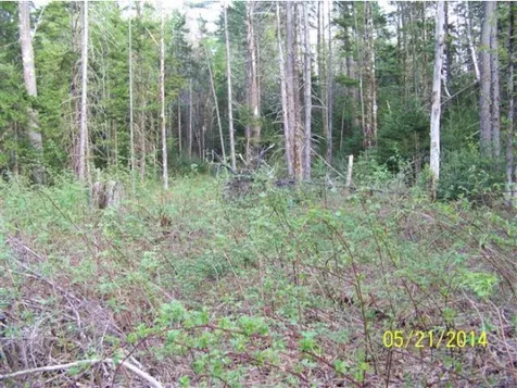 1336 Town Line Road Rochester VT 05767