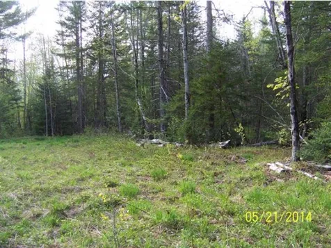 1336 Town Line Road Rochester VT 05767
