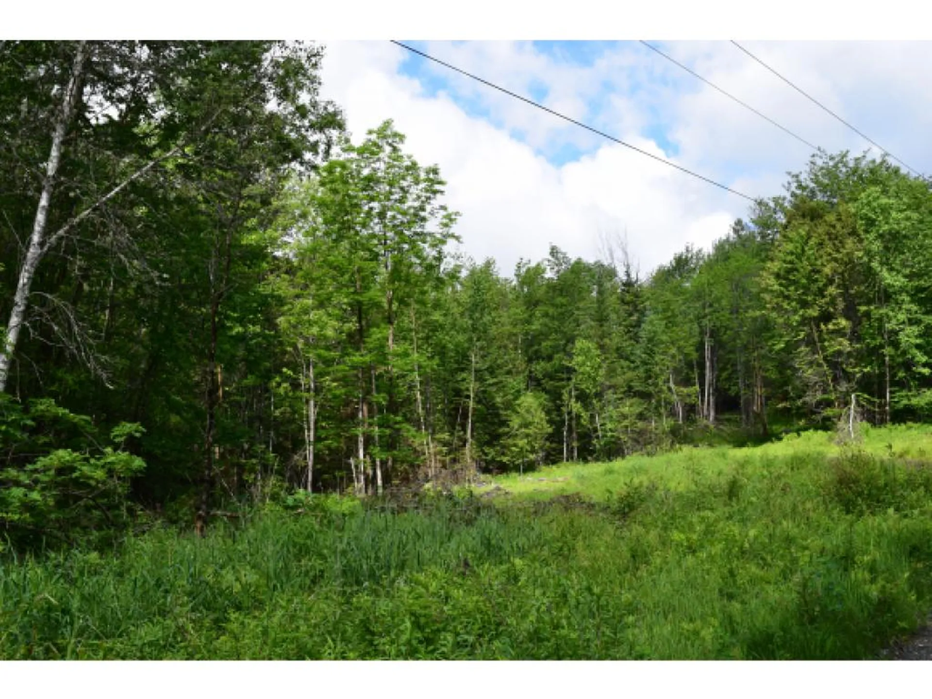 Off Route 2 Lancaster Road Lunenburg VT 05906