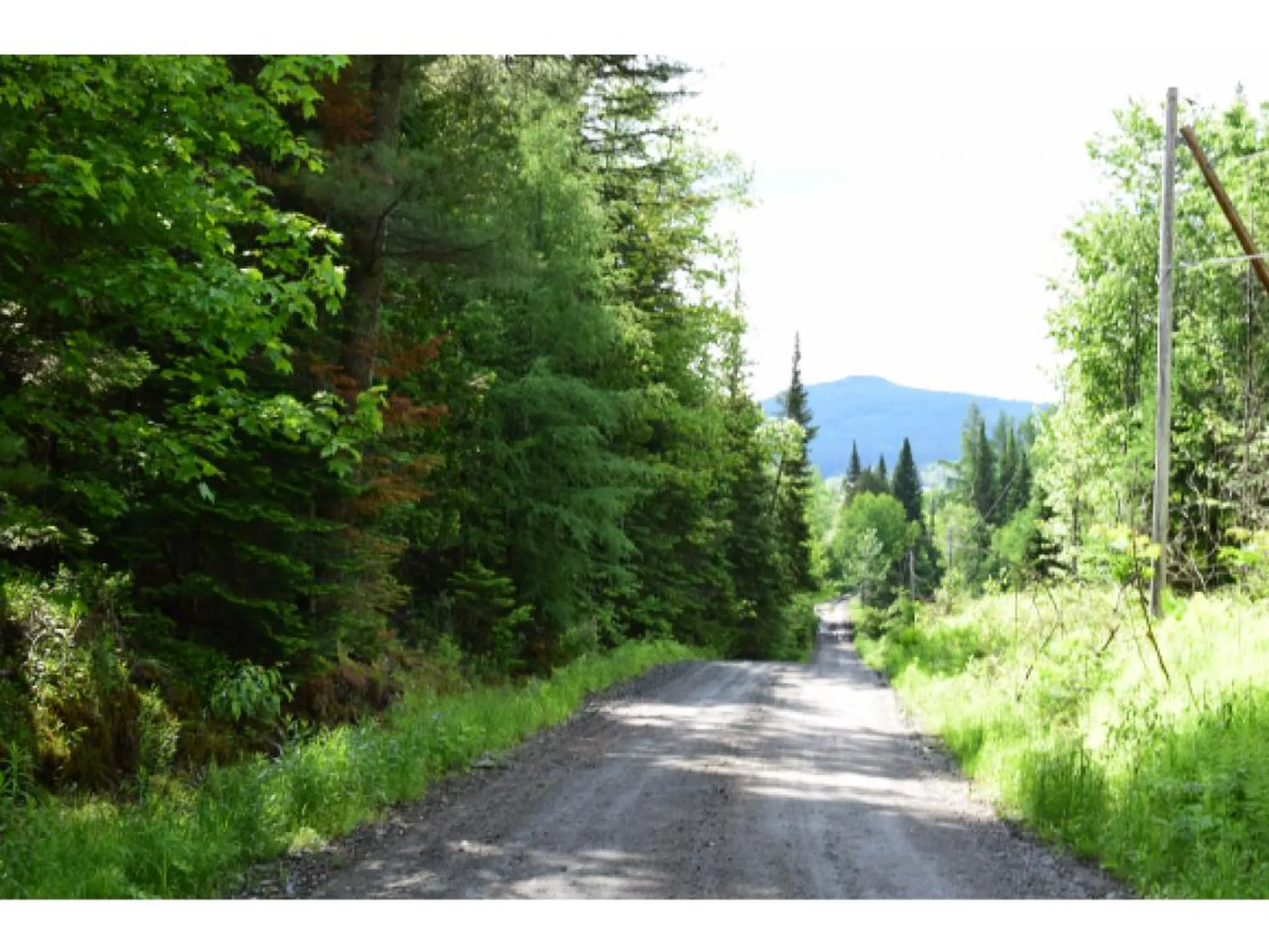 Off Route 2 Lancaster Road Lunenburg VT 05906