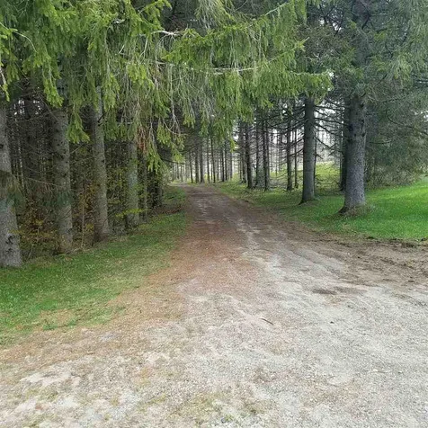 28 Stevens Flat Road Morgan VT 05853
