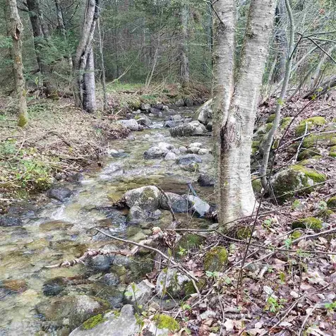 28 Stevens Flat Road Morgan VT 05853