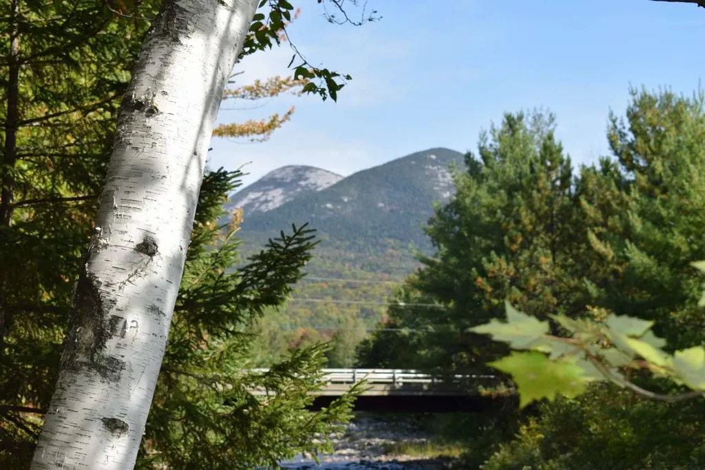 899 Northside Road Stark NH 03582