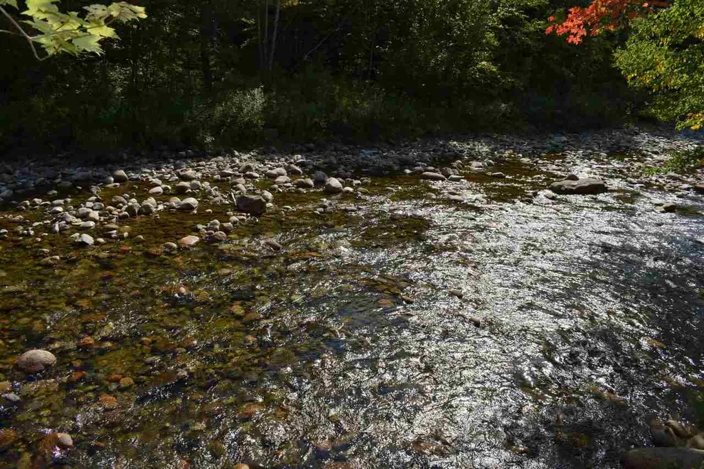 899 Northside Road Stark NH 03582