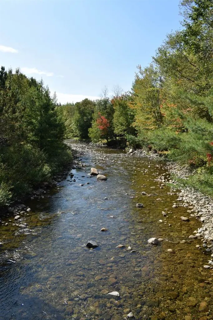 899 Northside Road Stark NH 03582