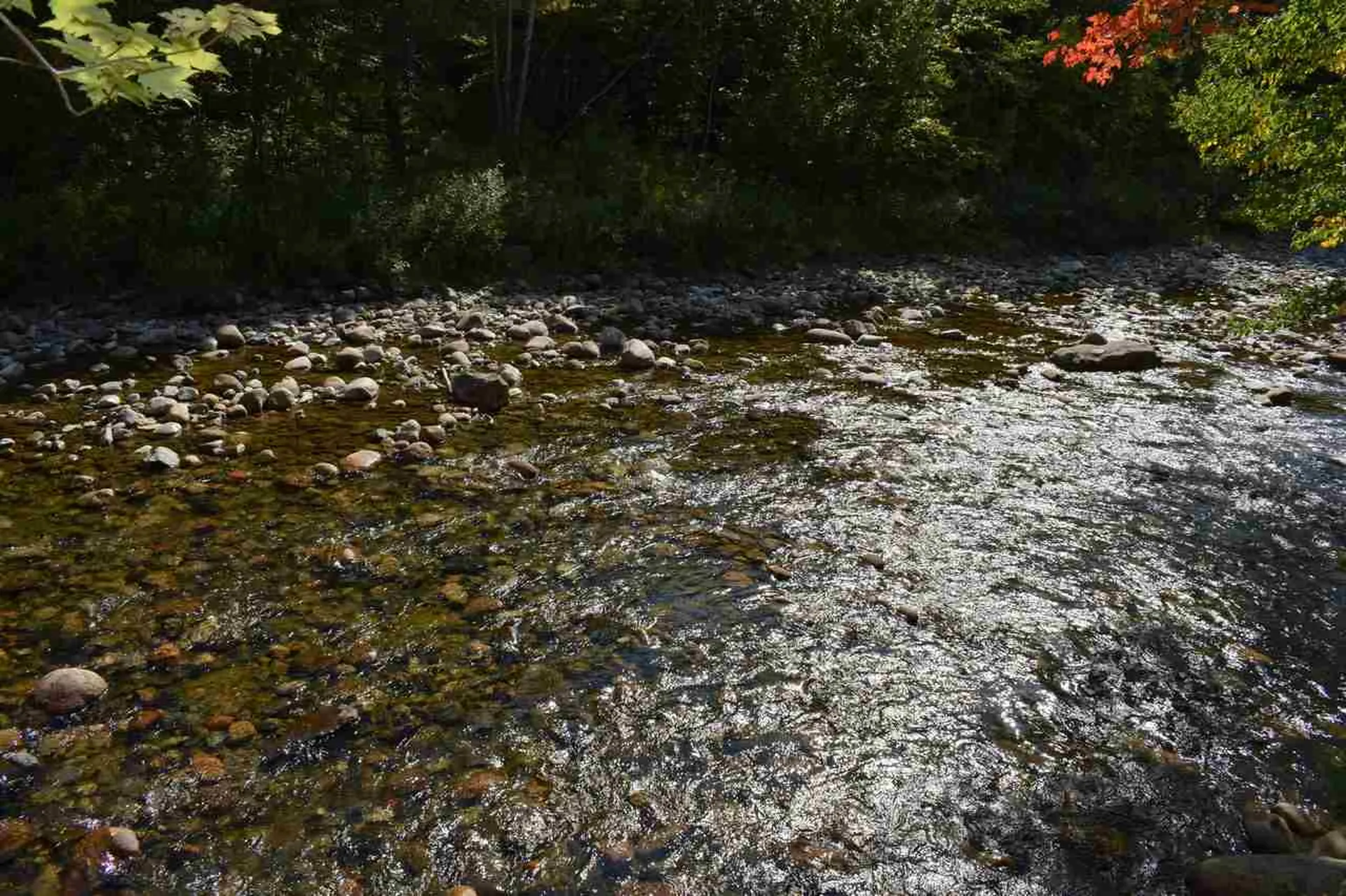 899 Northside Road Stark NH 03582
