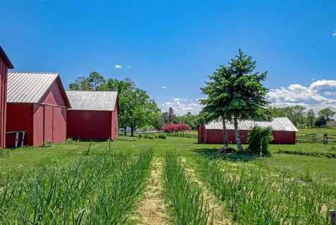 33 East Shore North Road Grand Isle VT 05458-0049