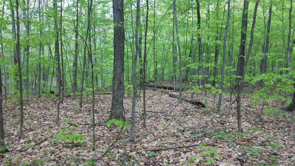 47 Lovers Lane Grand Isle VT 05458-2321