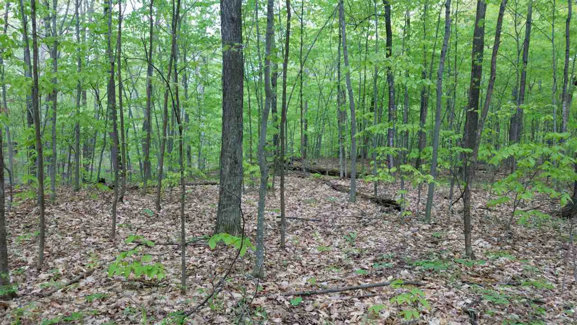 47 Lovers Lane Grand Isle VT 05458-2321