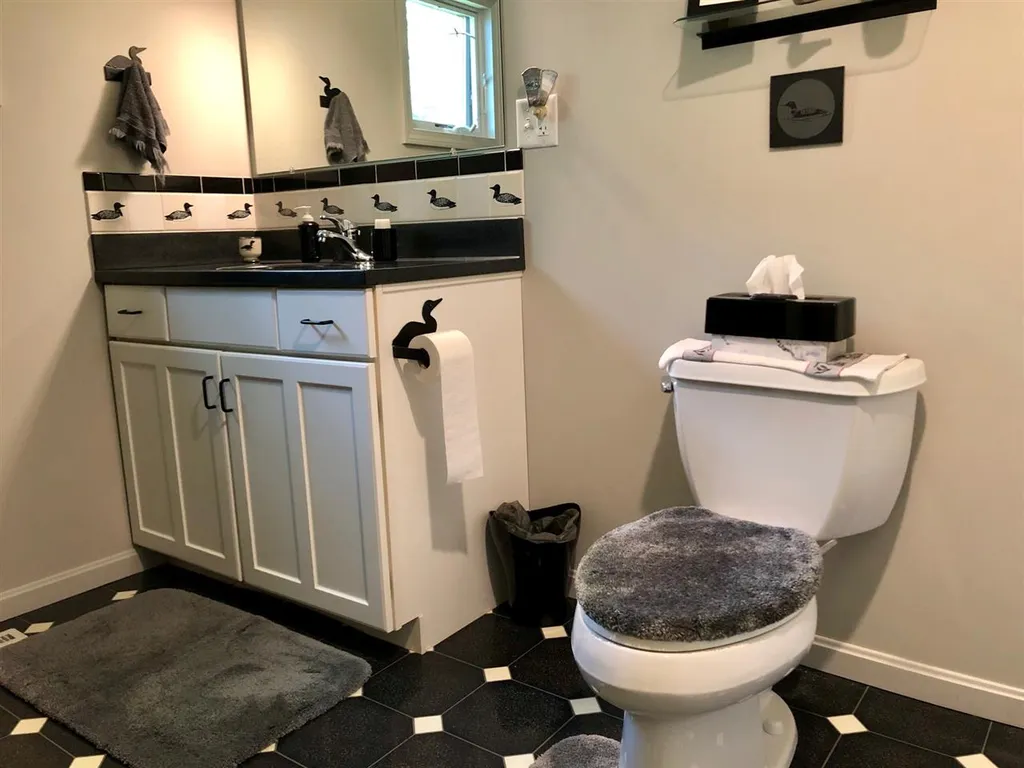 153 North Shore Road New Durham NH 03855
