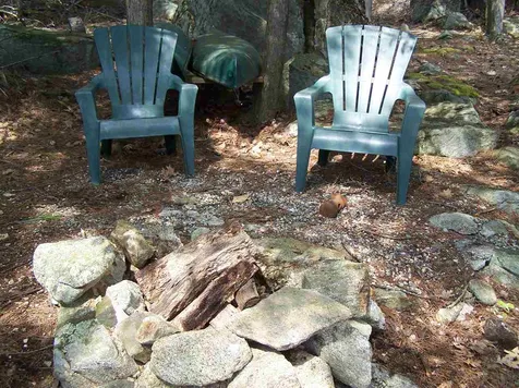 38 Little Bear Island Tuftonboro NH 03816
