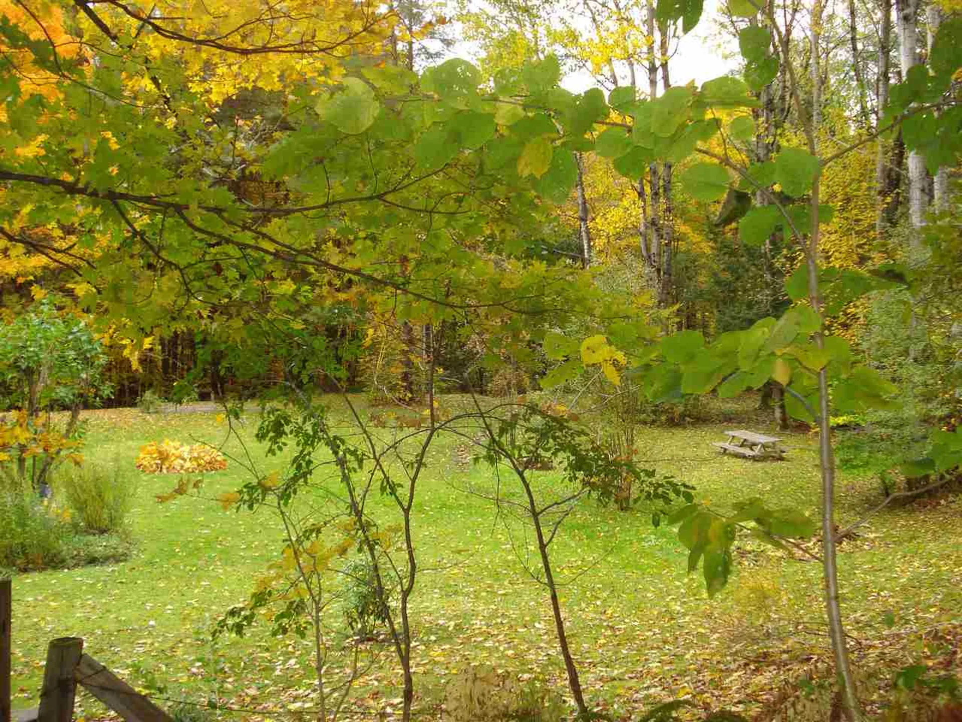 186 Garvin Hill Road Hartland VT 05048