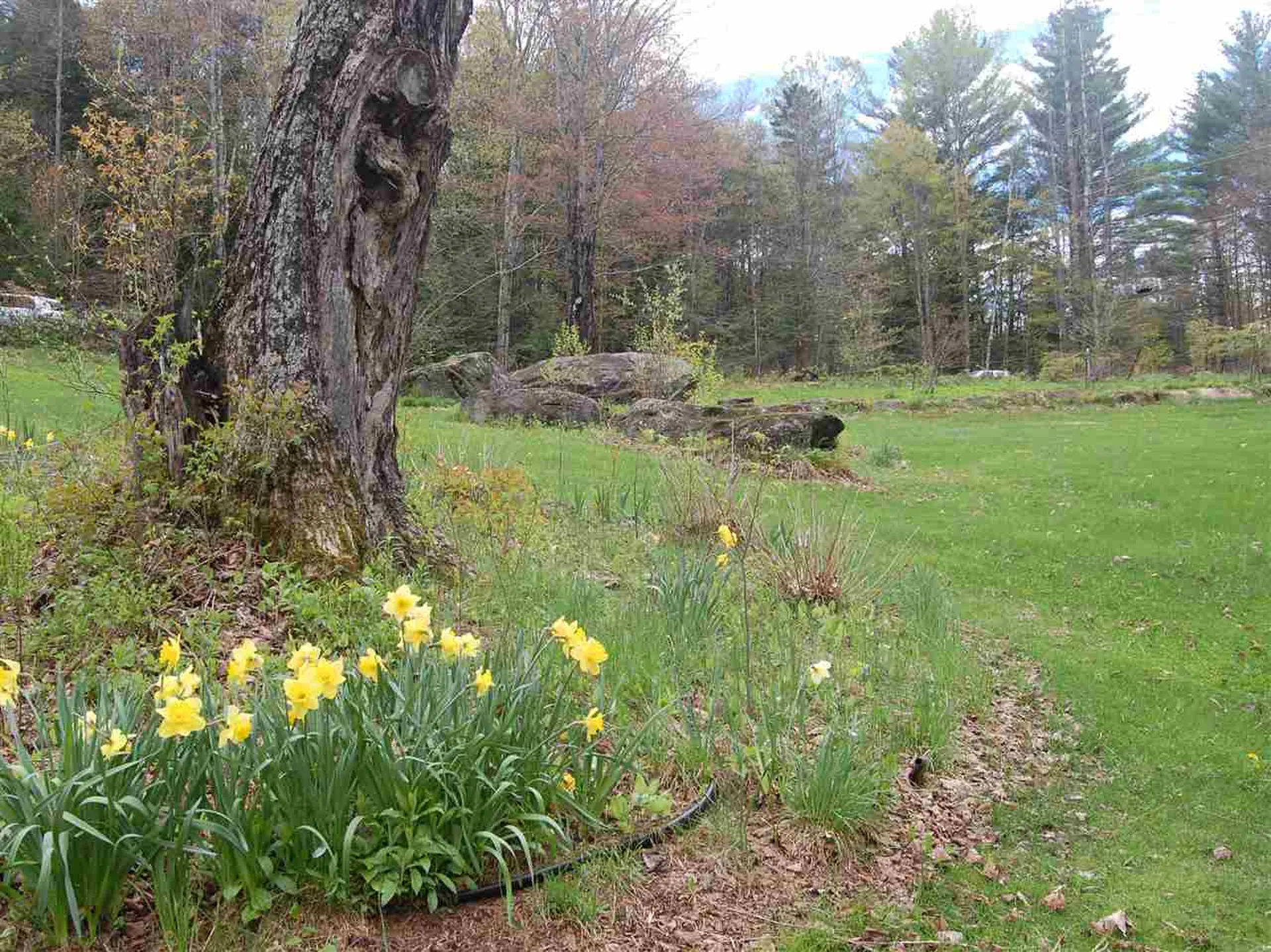81 Deans Mountain Road Moretown VT 05660