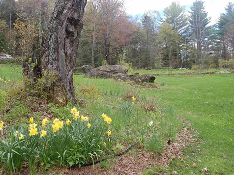 81 Deans Mountain Road Moretown VT 05660