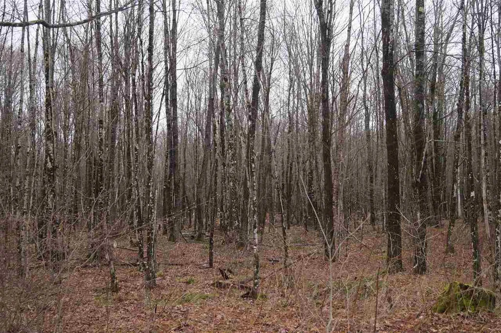 0 Morin Road Guildhall, VT Real Estate MLS 4753943