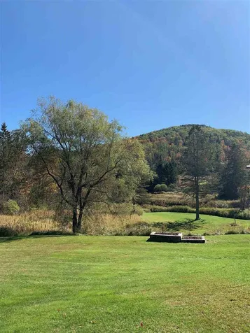 599 Goose Green Road Corinth VT 05039